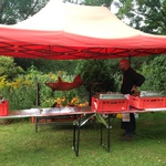 Spanferkel im Waldparadies